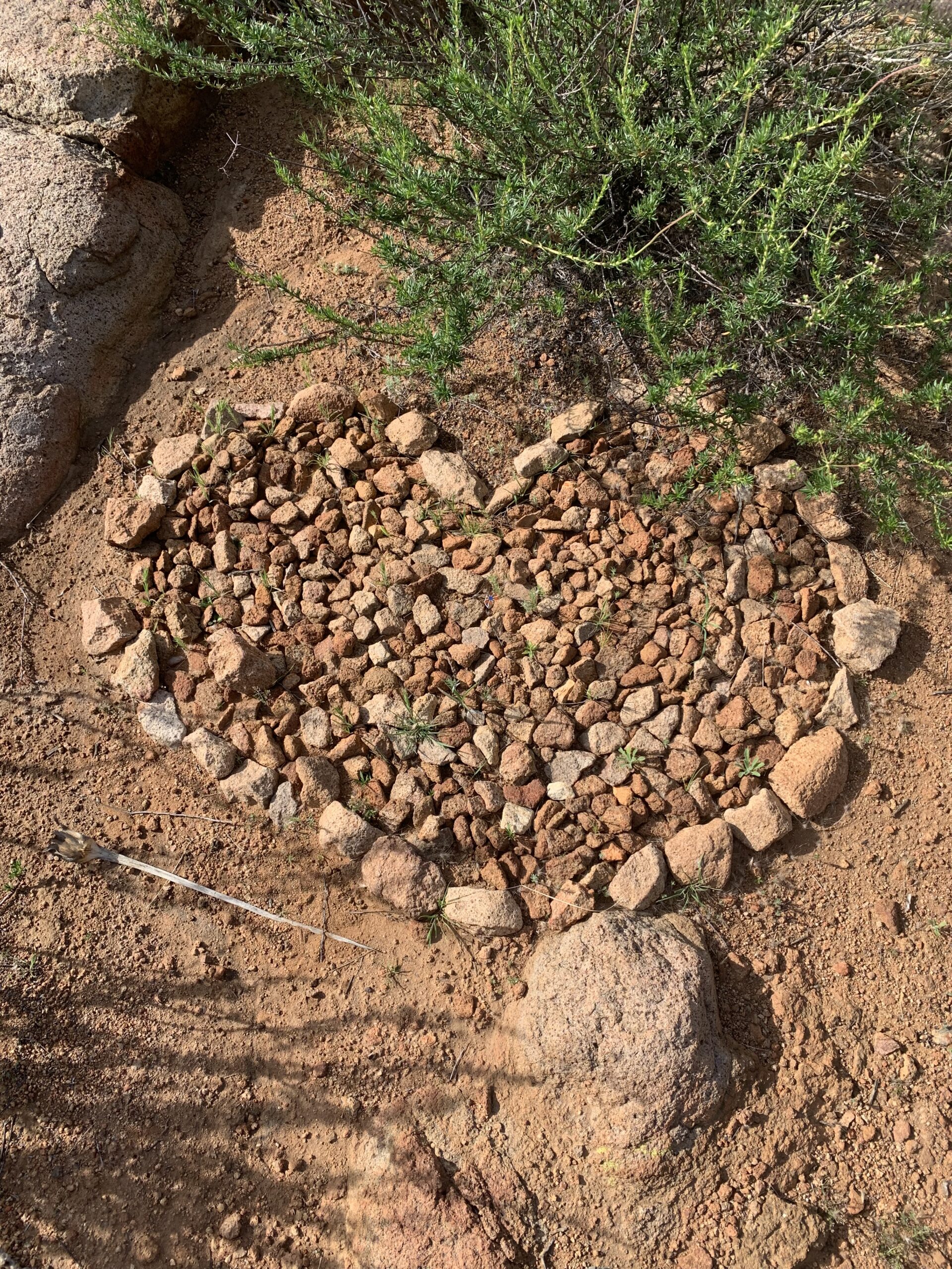 A high-angle shot of a heart shape meticulously formed out of small, reddish-brown rocks and pebbles on the dusty ground of a hiking trail. The heart is surrounded by dry earth, sparse green sprouts, and a large green shrub in the upper right corner.